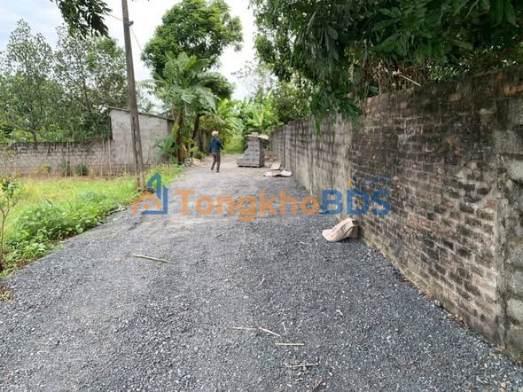 Bán Đất Vườn 982m² Sài Sơn, Quốc Oai - Sẵn Sổ Đỏ, Sẵn Sang Đầu Tư