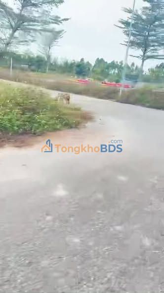 Đất nền Quang Thịnh 111m² giá 1.8 tỷ - Sổ đỏ chính chủ