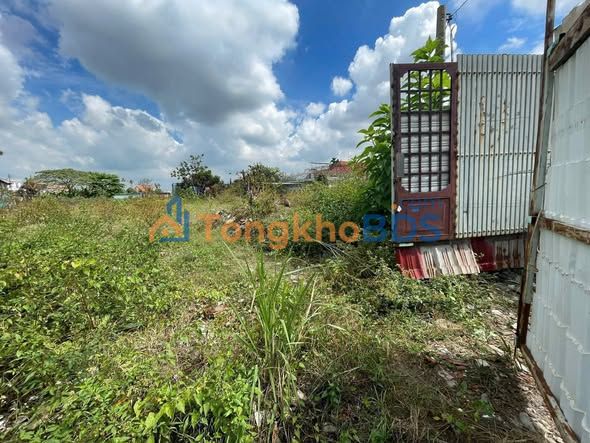 Đất Vàng Hóc Môn 2400m² - Tiềm Năng Phân Lô, Xây Xưởng Lớn