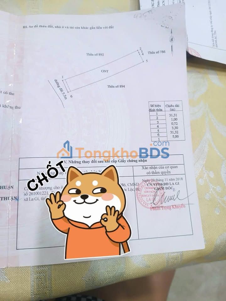 Đất Nền La Gi 155m² Full Thổ Cư - Hẻm Xe Hơi Đinh Bộ Lĩnh