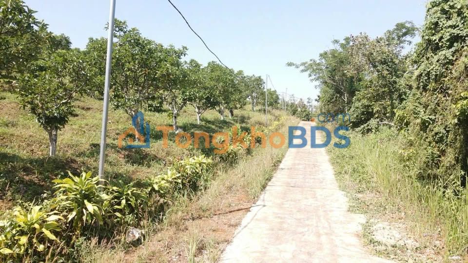 Bán Đất Vườn Đắk Nông 6000m² - Đối Diện KCN, Sổ Đỏ Riêng 950 Triệu