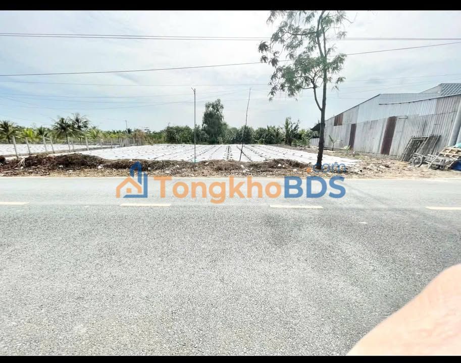 Đất nền Nguyễn Văn Quy Cần Thơ 4.000m² 10 tỷ - Sổ đỏ chính chủ