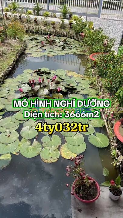 Đất nền Trường Long 3.666m² 4,03 tỷ - Đường to ô tô