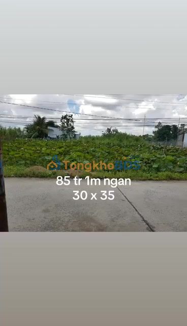 Đất nền Trung Hưng Cần Thơ 1.050m² 85tr/m - Pháp lý rõ ràng