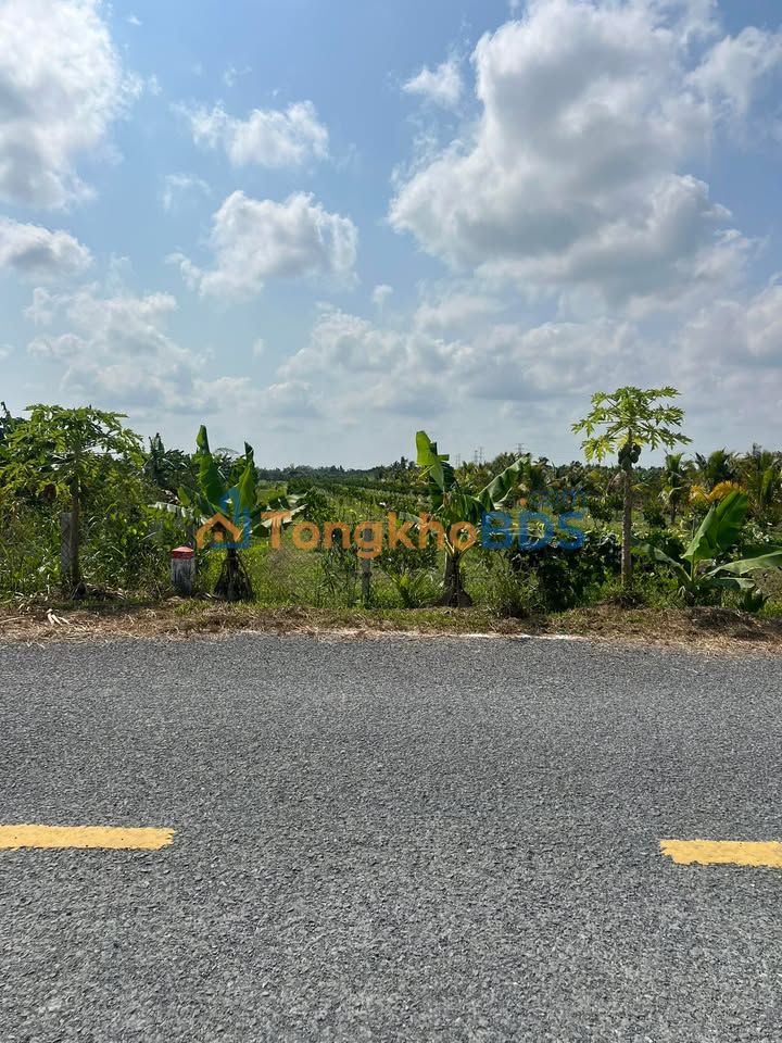 Đất vườn Phú Hữu 1.000m² 1.15 tỷ - Sổ đỏ chính chủ