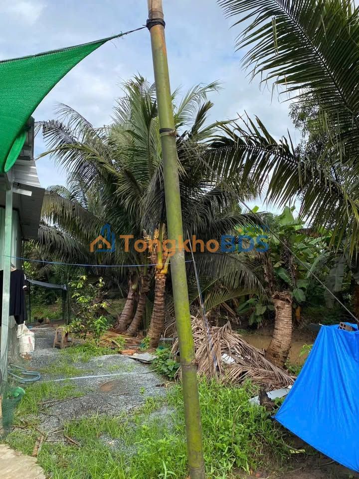 FrontHouse Hau Giang 1.4 tỷ – Mặt tiền kinh doanh Sổ hồng