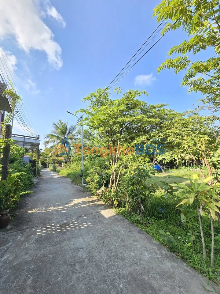 Đất nền Thanh Đông Cẩm Phô 100m² 2 tỷ - Sổ đỏ giữ vốn