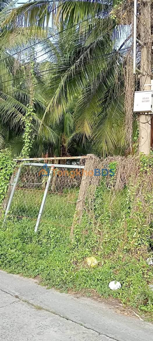 Bán đất Sơn Đông Bến Tre 977m² - Sổ đỏ sẵn sàng, lên thổ cư