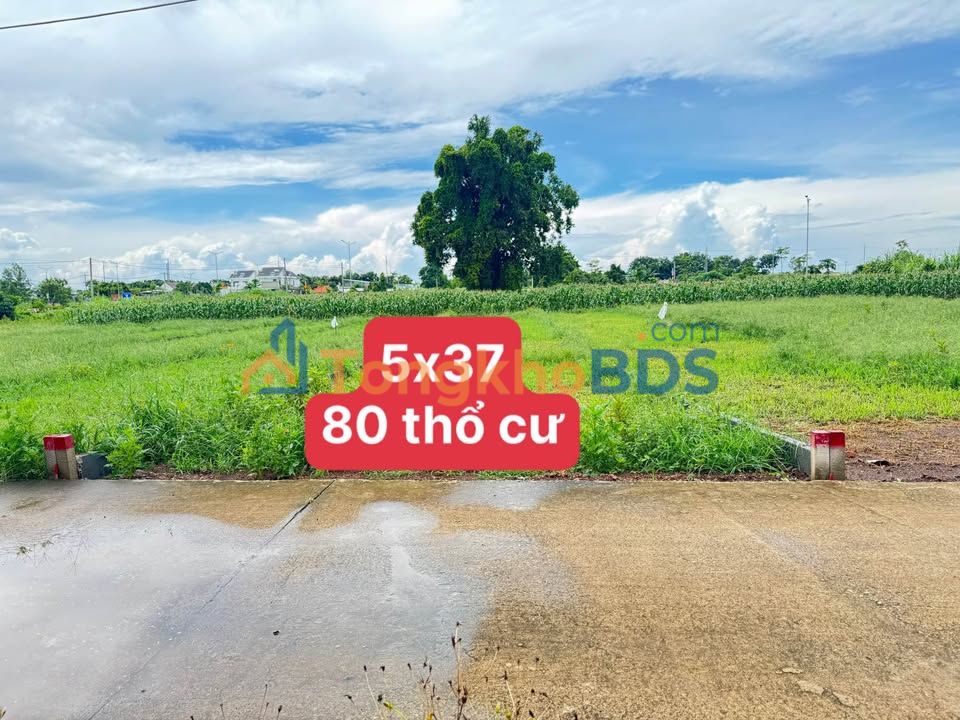 Đất nền Thị trấn Đất Đỏ 183m² 890tr - Sổ đỏ chính chủ