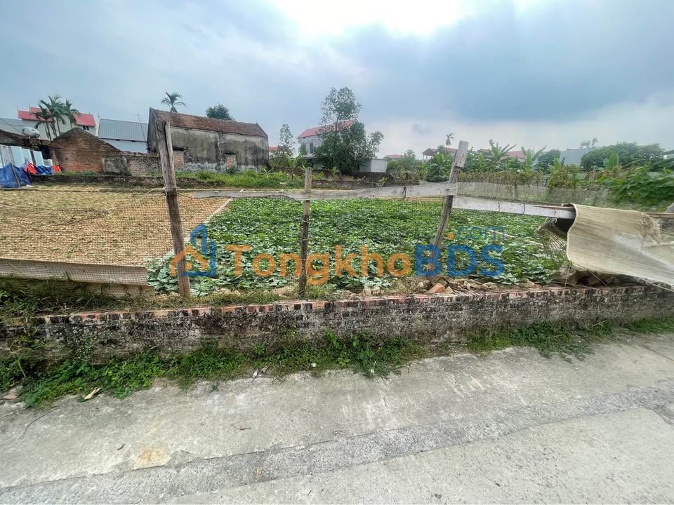 Đất nền Yên Tàng, Đa Phúc, Đông Anh 86m² - Sổ đỏ sẵn, hơn 1 tỷ đón đầu Vành đai 4