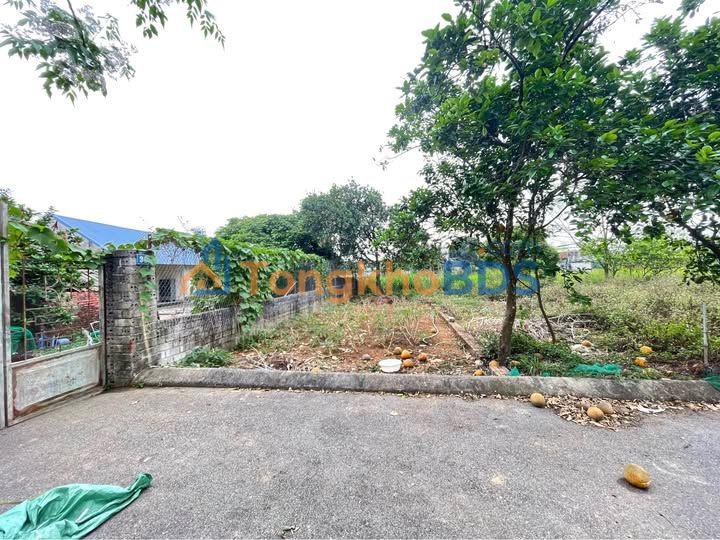 Đất nền Tân Xã 92m² - Sổ hồng riêng, 3 tỷ - Cách Hoà Lạc 2 phút