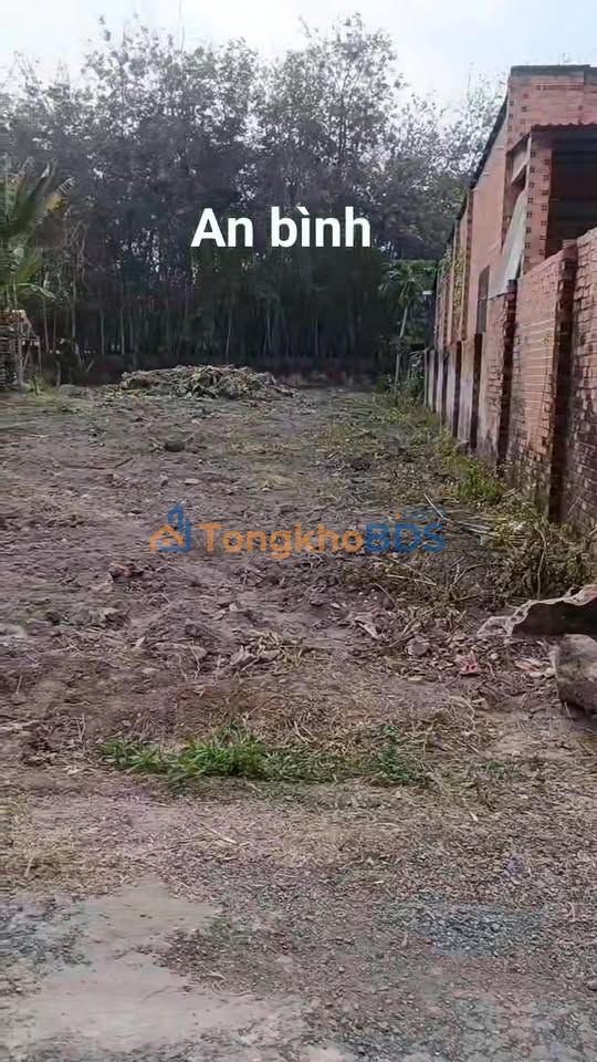 Đất Nền Phú Giáo 518m² - Sổ Đỏ Vuông Vắn, Giá Tốt 595 Triệu