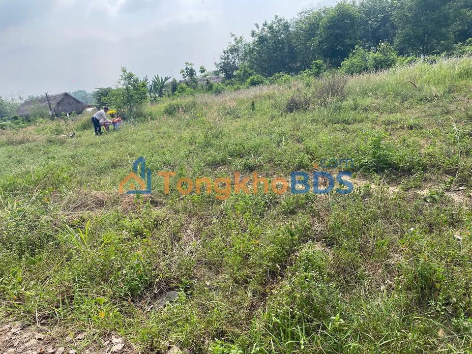 Bán Đất Nền Phú Chánh, Thủ Dầu Một - 136m² - Sổ Hồng 2025 - Giá Tốt Đầu Tư