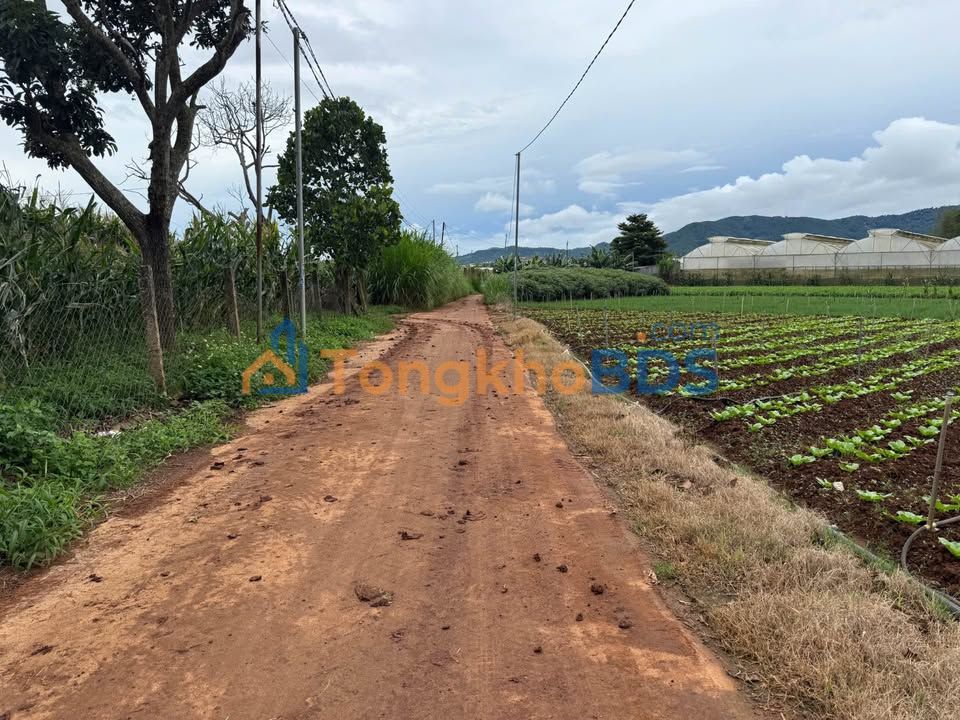 Đất vườn Tu Tra Đơn Dương 270m2 850tr - Nghỉ dưỡng lý tưởng