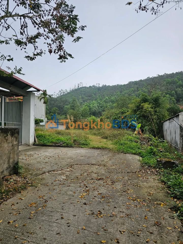 Đất nền Kem Bắc Giang 1.000m² giá 7 tỷ - Tiềm năng tăng giá