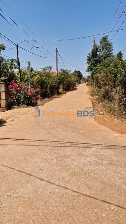 Đất Vàng Gia Lai - Sổ Đỏ 1122m² Tại Chư Pưh, Giá Chỉ 3.01 Tỷ