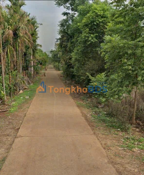 Đất nền Ea H'Leo QL14 200m² 0.85 tỷ - Đường ô tô