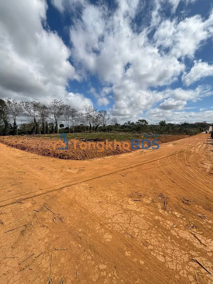 Bán Đất Thị Trấn Ea Knốp Đắk Lắk - 260m² Full Thổ Cư, 2 Mặt Tiền, Giá Hời!