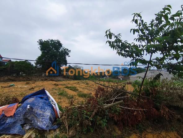 Bán Gấp Nhà Vườn 1000m² Trục Chính Thạch Thất - Giá Tốt Đầu Tư