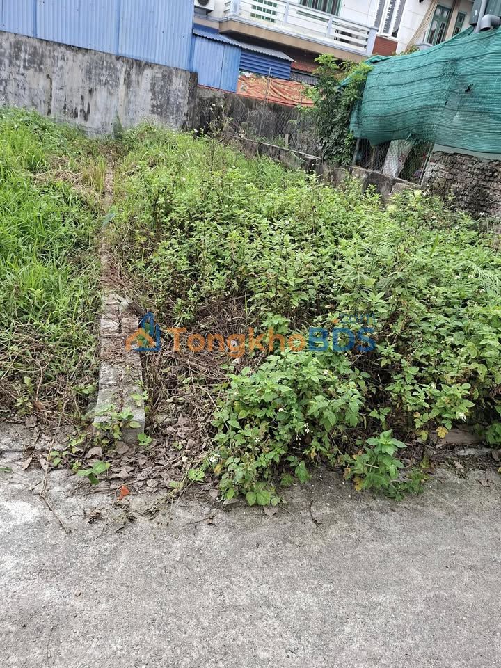 Đất nền Thường Tín 50m² - Sổ đỏ sẵn sàng, ô tô tránh