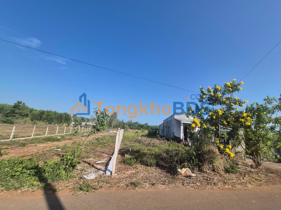 Đất nền Đá Bạc Châu Đức 1.000m² 999 triệu - Sổ đỏ chính chủ