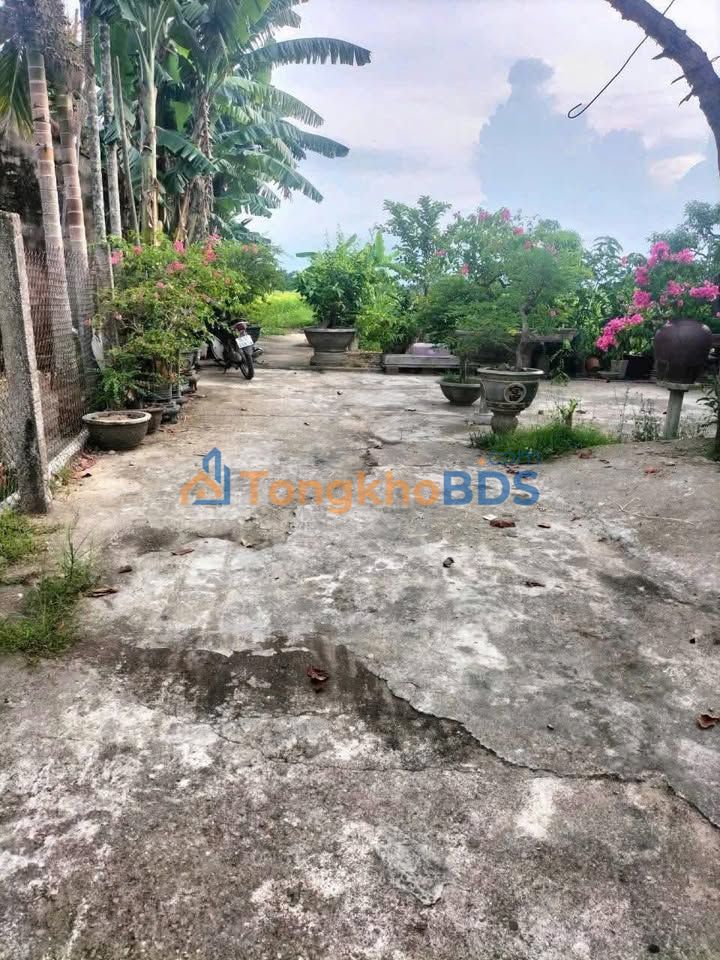 Đất Vườn Nghỉ Dưỡng Tịnh Sơn 429m² - Không Gian Xanh An Yên Gần Phố