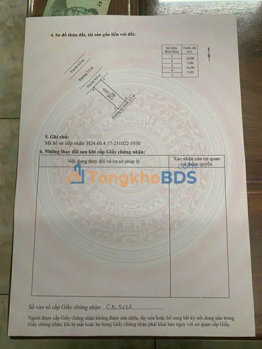 Đất nền KĐT Thái Hà, Kinh Môn 80m² - Mặt tiền 5m, kinh doanh sầm uất