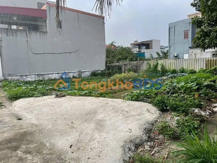 Bán Gấp 3 Lô Liền Kề Lạc Chín, Thái Bình - 76m² - Ngõ Ô Tô