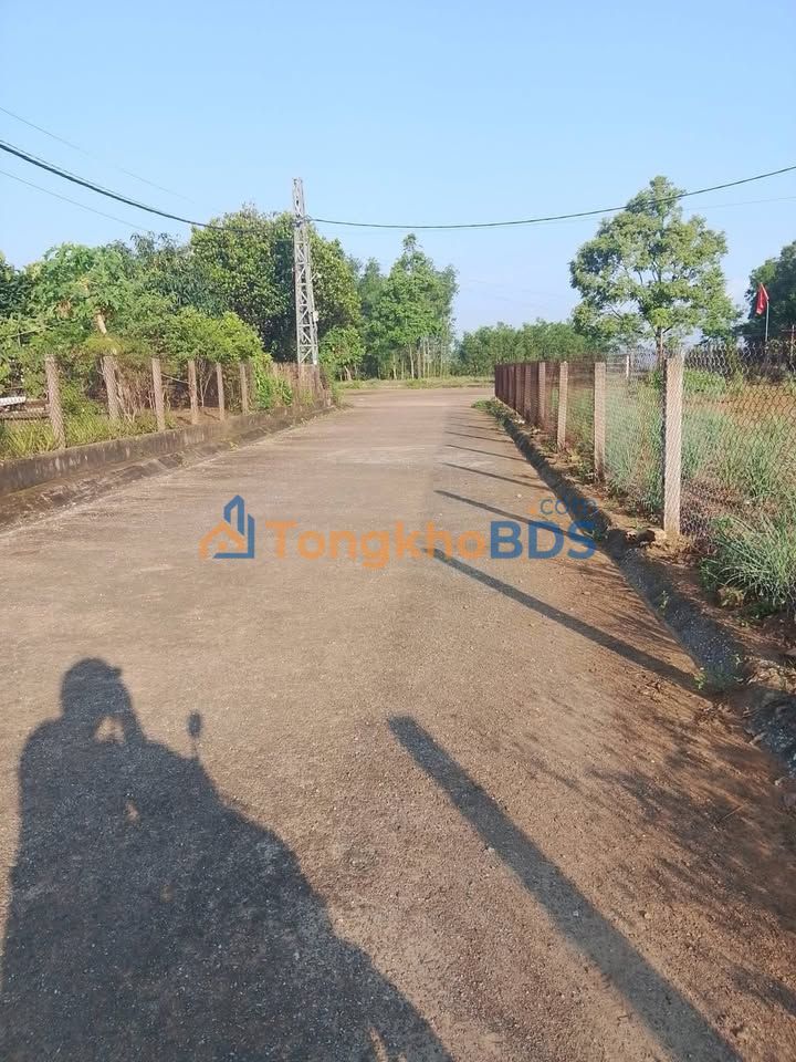 Đất Bình Đông Bình Sơn 250m² 1.35 tỷ - Tiềm năng tăng giá