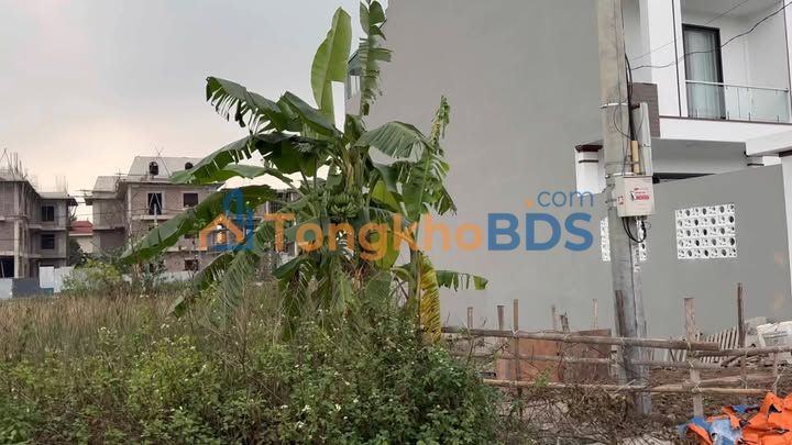 Đất nền Phố Hòa Bình Ninh Bình 98m² 4 tỷ - Sổ đỏ chính chủ