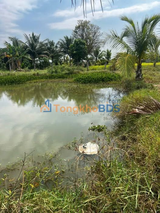 Đất Sào 5000m² Hàm Thắng, Bình Thuận - Giá Đầu Tư 2.15 Tỷ