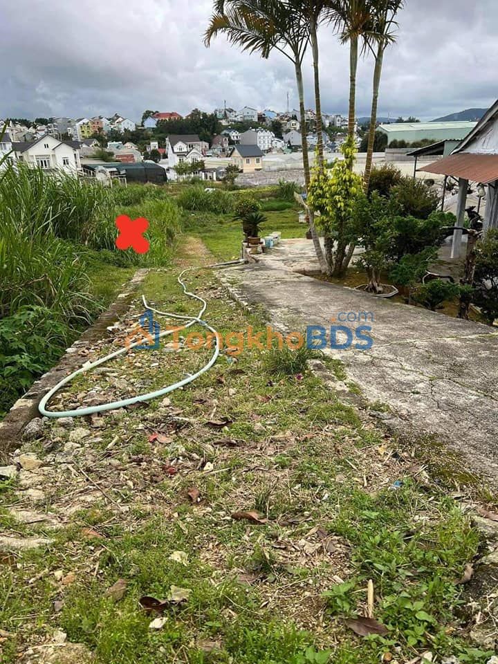 Đất nền Phường 8 Đà Lạt 211m² 2.75 tỷ - Sổ đỏ chính chủ