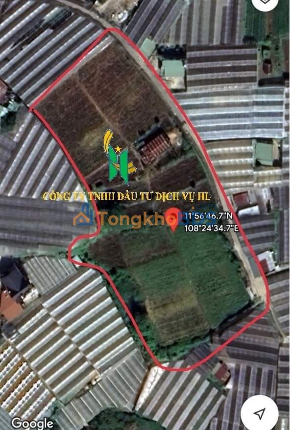 Đất Vạn Thành P.5 Đà Lạt 9.836m² 160 tỷ - Pháp lý rõ ràng