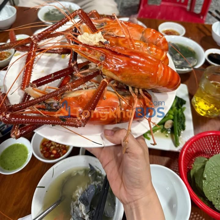 Đất nền Cẩm Thành 176m² 500-599 triệu - Sổ đỏ chính chủ