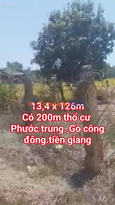 Đất Phước Trung Gò Công Đông 1.600m² - Xây dựng tự do