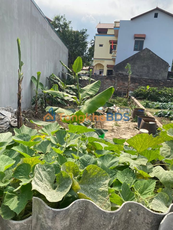 Đất nền 93m² mặt tiền 12m, Thuận Thành - Tiềm năng sinh lời cao