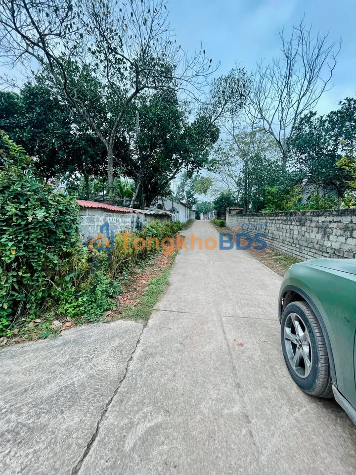 Đất Bảo Đài Lục Nam 200m² 600 triệu - Sổ đỏ chính chủ