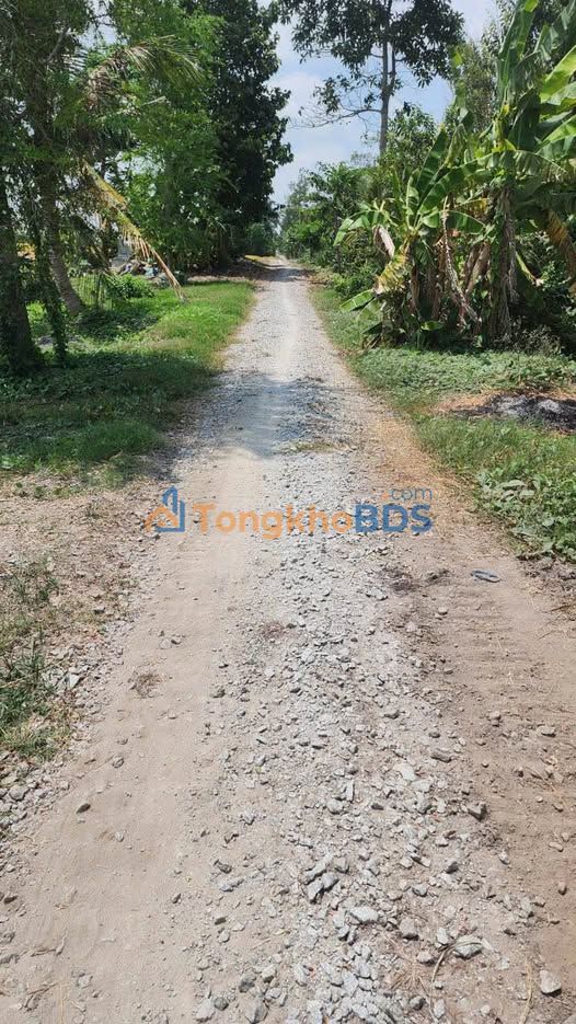 Đất nền Tây Phú 1.600m² 250 triệu - Đường ô tô