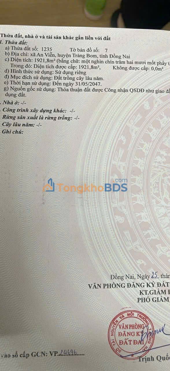 Đất nền An Viễn Củ Chi 2.275m² thỏa thuận - Pháp lý rõ ràng