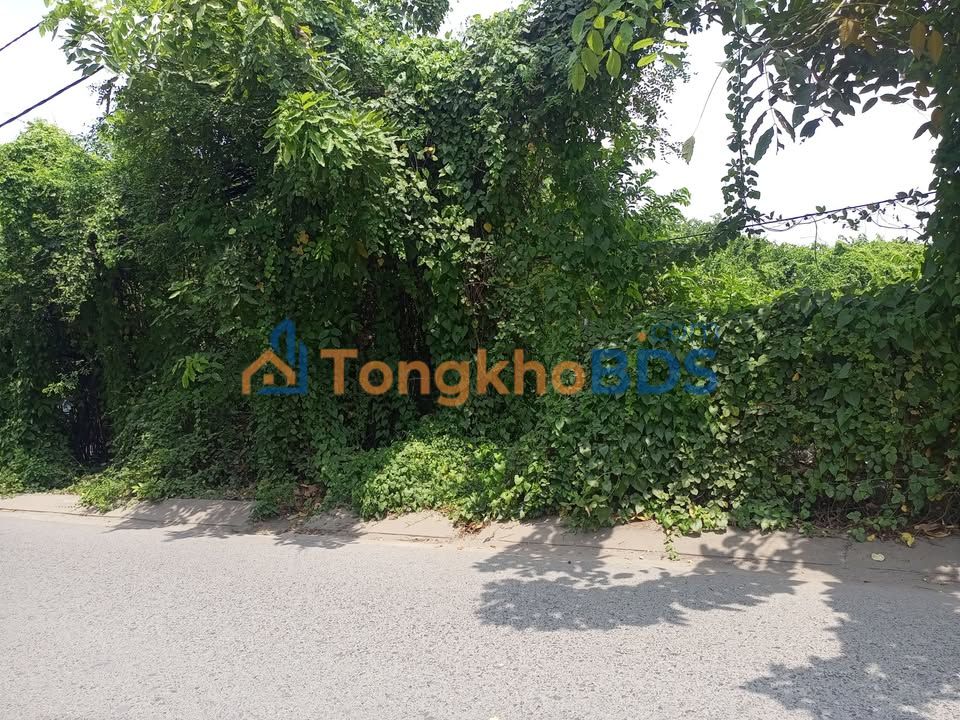 Đất nền Vườn Lài Tân Phú 5.800m²/46.4 tỷ - Sổ đỏ chính chủ