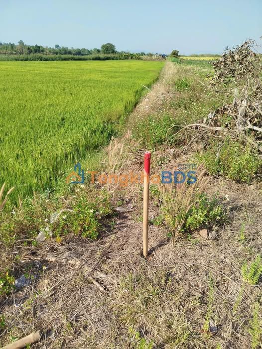 Đất nền Ia RVê Ea Súp 3,2 sào giá 105 triệu - Đầu tư dài hạn