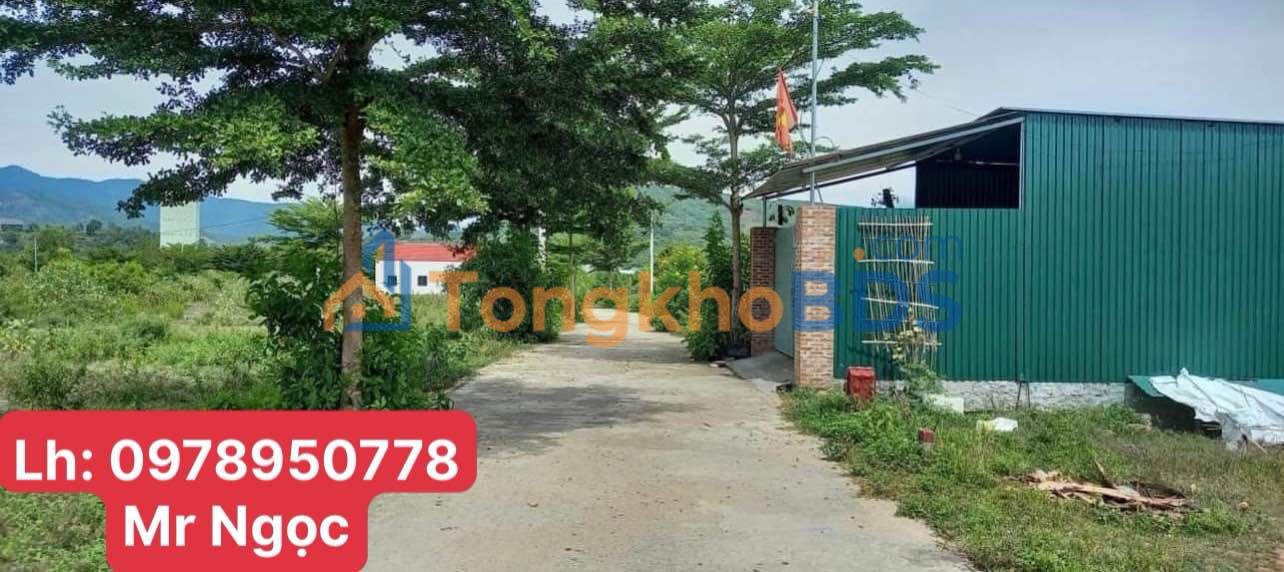 Đất Diên Khánh 92.7m² Full Thổ Cư - Sổ Sẵn Giá Tốt 700 Triệu
