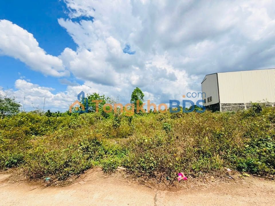 Đất nền Komleo Tân Lập 286m² 54.34 tỷ - Sổ đỏ chính chủ