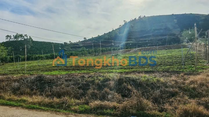 Đất nền Nam Hà Lâm Hà 1.700m² 1,4 tỷ - Tiềm năng tăng giá