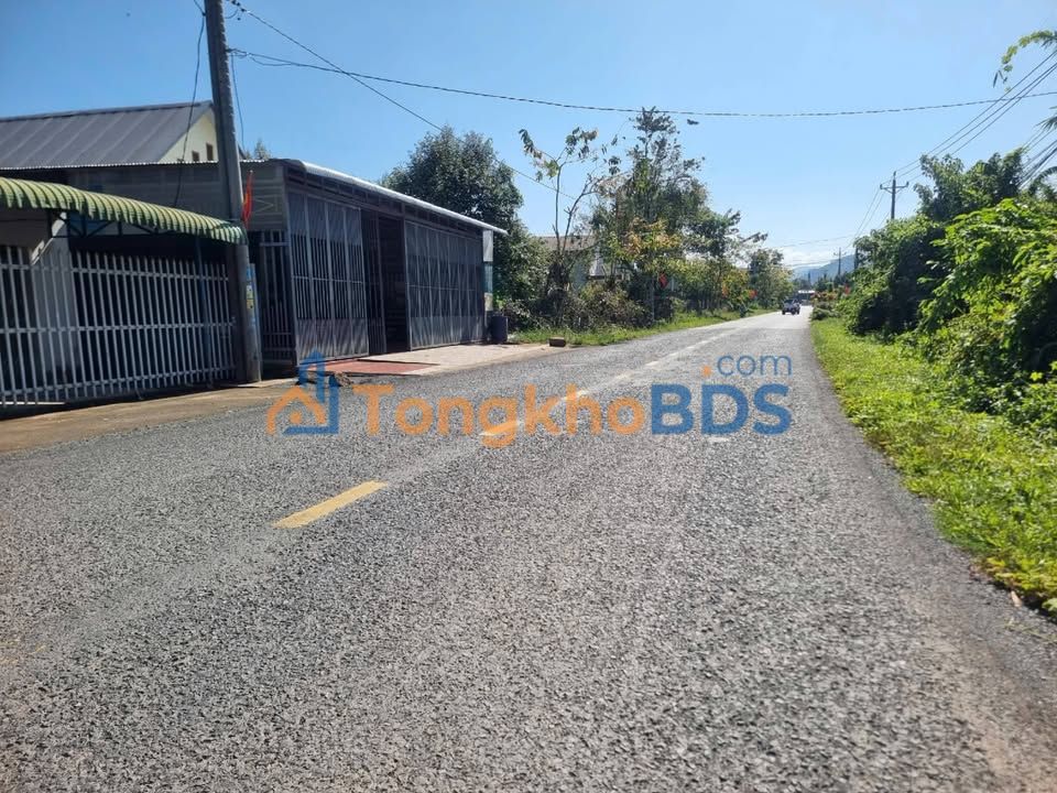 Bán Gấp 2 Lô Đất Vườn 1677m² Củ Chi - Trồng Sầu Riêng Cổ Thụ, Thu Nhập Ổn Định