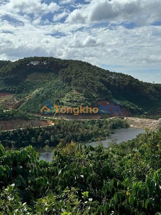 Đất nền Di Linh Hòa Trung 4000m² 1.85 tỷ - Sổ đỏ chính chủ