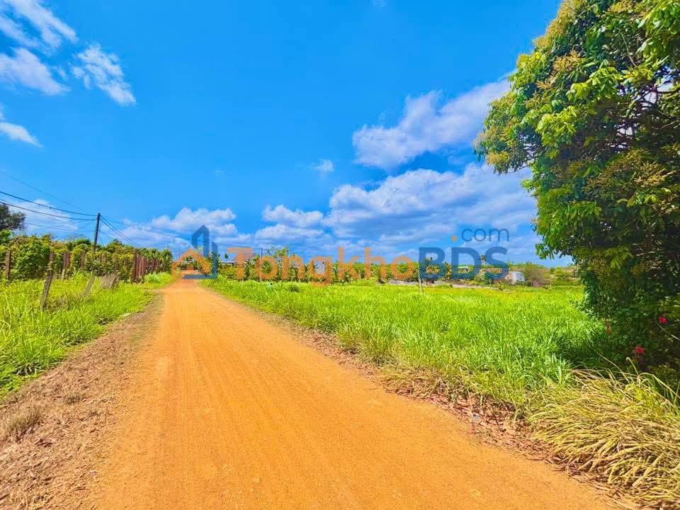 Đất nền Ea Đar Ea Kar 960m² 500 triệu - Giá tốt hiếm có