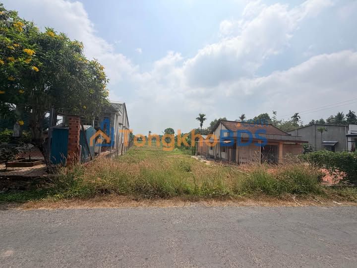 Đất Nền Gò Dầu 215m² - Gần KCN Hiệp Thạnh, Giá 780 Triệu