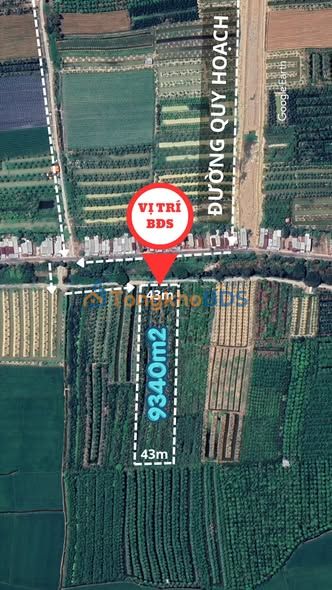 Đất vườn Tân Thạnh 9.340m² 4.203 tỷ - Nghỉ dưỡng lý tưởng