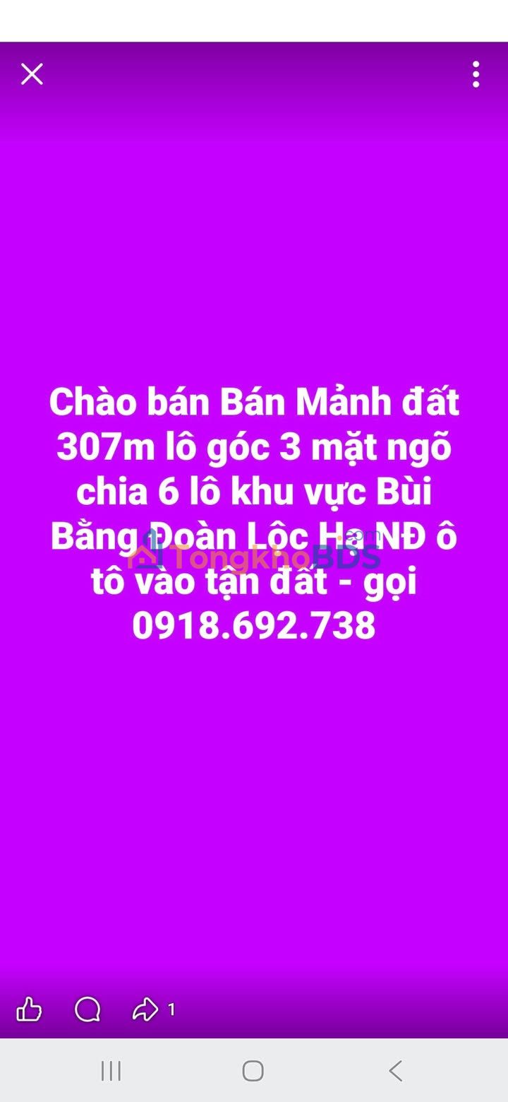 Đất nền Bùi Bằng Đoàn 307m² - Đường to ô tô